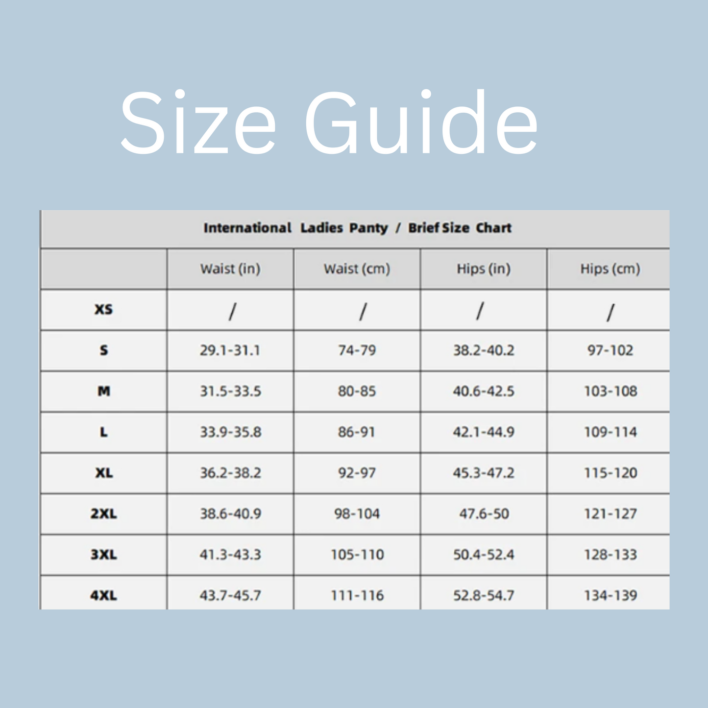 Sexy Leakproof Mesh Panties – 4-Layer Protective Underwear (1pc) - My Willio