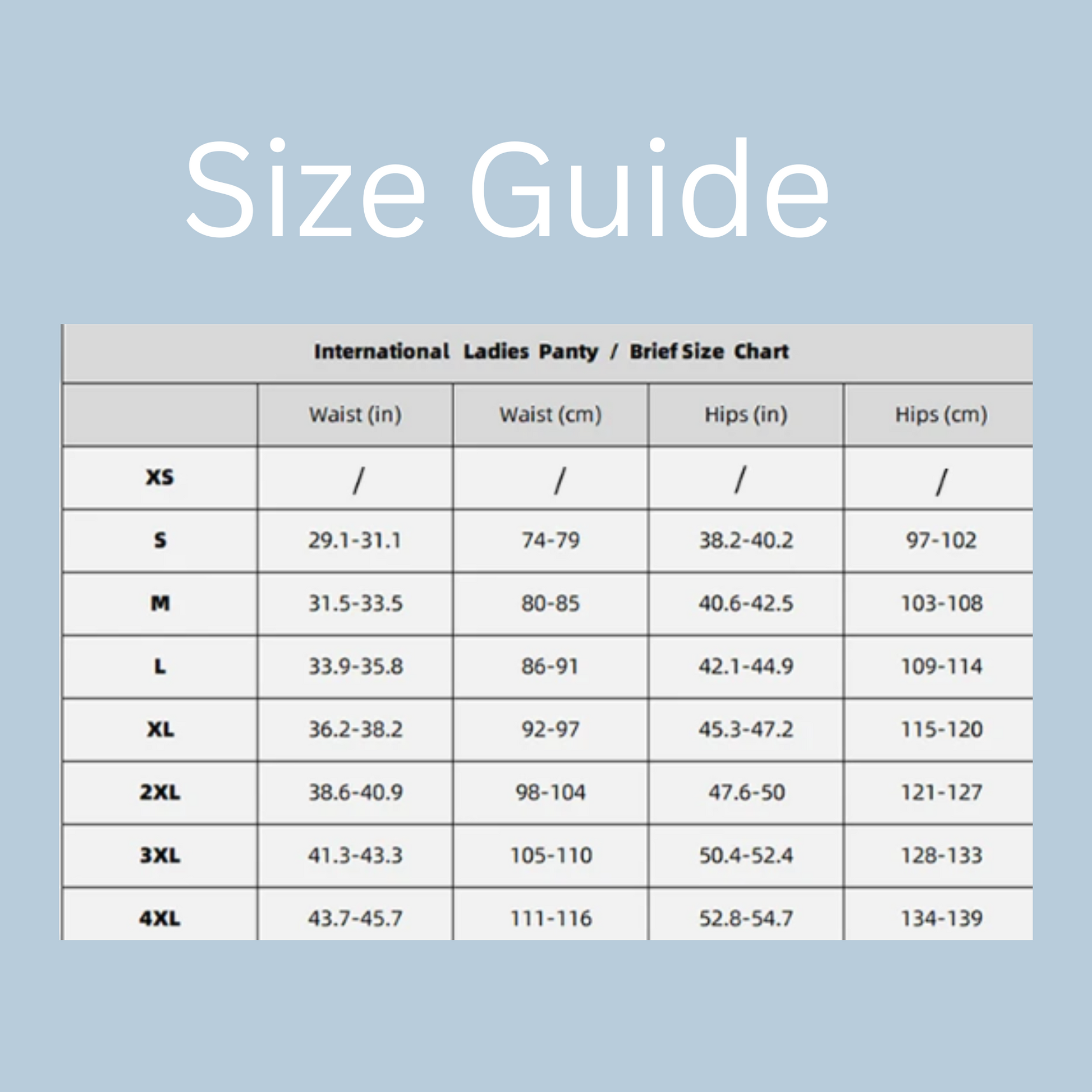 Sexy Leakproof Mesh Panties – 4-Layer Protective Underwear (1pc) - My Willio