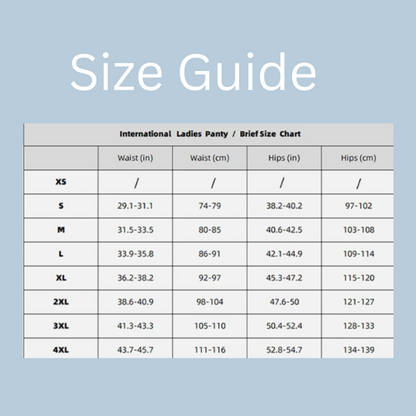 Sexy Leakproof Mesh Panties – 4-Layer Protective Underwear (1pc) - My Willio